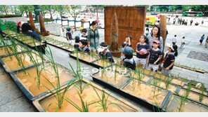 “농작물이 예술이네”