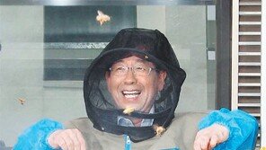 [수도권]서울시청 별관 옥상 양봉장 식용 아카시아 꿀 40L 수확