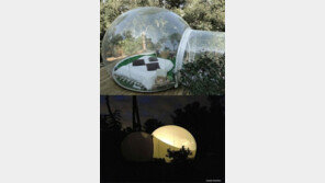 투명한 호텔방, ‘자외선 차단에 자연 감상’ 가격은?