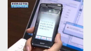 [뉴스A]휴대폰 주인 몰래 900원 소액결제…사기일당 적발