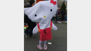 부족해 보이는 키티 “눈은 어디에 있니? 정체성 붕괴” 