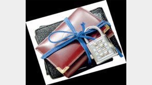 자동차보험료 환급조회 사이트, 이용자 폭주로 장애 