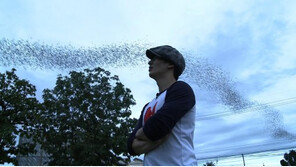 [ON AIR] 매일 승천하는 흑룡이 있다?