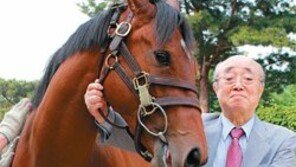 ‘페라리’車 맞먹는 몸값 3억대 美 경주마 왔다