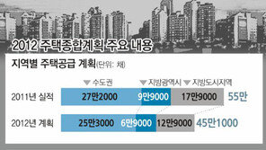 올 주택 45만채 공급… 임대주택, 작년보다 70% 늘려