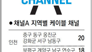 [인천/경기]채널A 지역별 케이블 채널