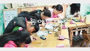 [강원]숲의 모든 것… 청태산 8∼10일 휴양림 대축제