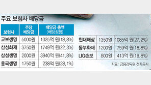 보험사들 ‘배당 잔치’ 브레이크 안걸리네