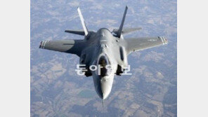 록히드마틴 “한국, F-35 비행해 볼 수 없어”