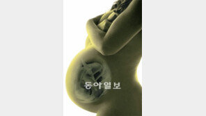 [O2/Life]늘어나는 고령자 임신… 태아 건강검사의 모든 것