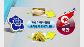 [뉴스A]허술한 대북 식량 차관으로 1조원 이상 떼일 위기