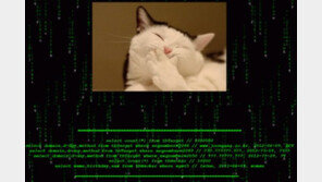 제2보: 중앙일보, joongang.co.kr의 해킹은 막은 듯