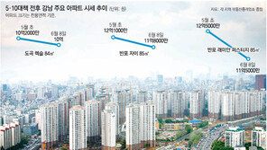 ‘5·10’ 부동산 대책 한달째… 강남3구 현장 가보니