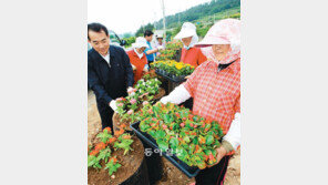 [광주/전남]“소안도를 무궁화 동산으로”