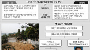 서면조사만으로 시형씨 무혐의… 檢 “아귀가 딱맞아 안불러”