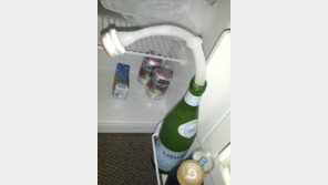 고장난 냉장고의 초능력 ‘물줄기 그대로 얼음’ 