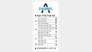 [광주/전남][전북][제주]채널A 지역별 케이블 채널