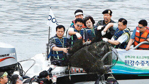 포스코 한강 수중정화 활동… 35개국서 자원봉사도 돌입