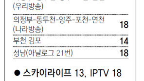 [수도권]채널A 서울지역 케이블 채널