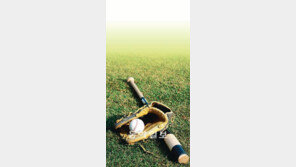 [단독/툭 터놓고 톡]프로야구 10구단 창단 오늘 표결