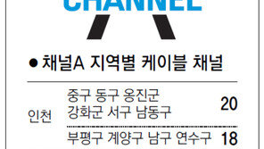 [인천/경기]채널A 지역별 케이블 채널