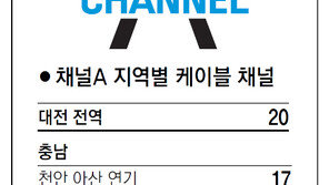 [강원][대전/충남][충북]채널A 지역별 케이블 채널