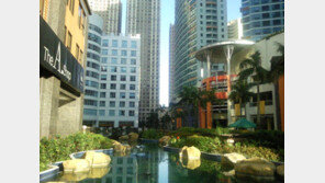 미국인과 함께하는 필리핀 여름방학 영어캠프