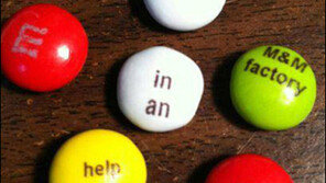 섬뜩한 초콜릿 “한알 한알 새겨진 단어를 조합해 봤더니…”