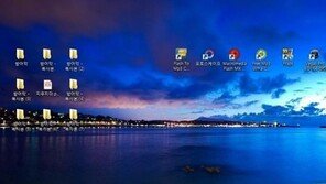 동생의 방어막, “저렇게 해 놓으니 더 지우고 싶네”