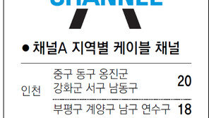 [인천/경기]채널A 지역별 케이블 채널
