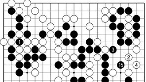 [바둑]제56기 국수전… 평범하지만 강한 노림수 5 