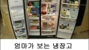엄마와 아들이 보는 냉장고,  극과 극 입장차에 폭소