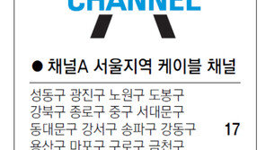 [수도권]채널A 서울지역 케이블 채널