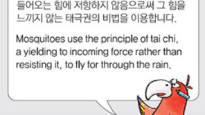  [신문과 놀자!/동아일보 기사로 배우는 영어 한마디]6월 14일