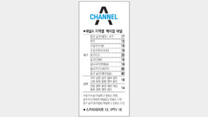 [대구/경북]채널A 지역별 케이블 채널