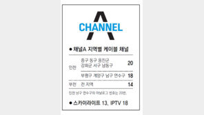 [인천/경기]채널A 지역별 케이블 채널