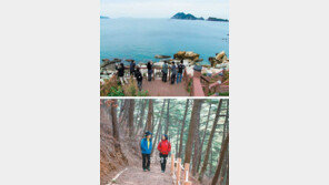 [대전/충남]파도소리 듣고 솔향기 맡으며 섬길 걸어요