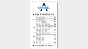 [광주/전남][전북][제주]채널A 지역별 케이블 채널