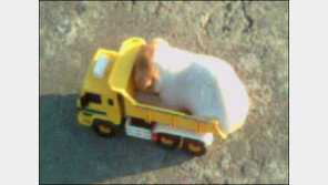 트럭만 한 강아지 “진짜 트럭만 하네요. 대단해”