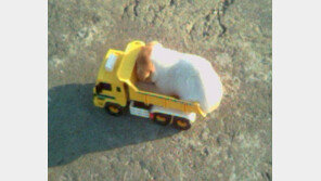 트럭만 한 강아지 ‘폭소’… “나 지금 낚인 거야?”