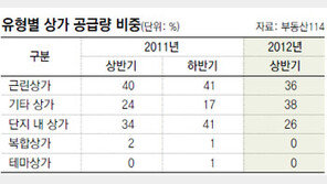 [Home&Dream]상가도 오피스텔이 대세