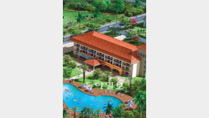 [Home&Dream]현대토지마을 ‘제주 커피 체험농장’, 커피재배 체험+재테크… ‘일석이조’