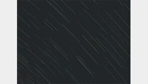 [Culture]주말 오감만족 나들이