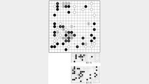[바둑]제56기 국수전… 침투의 맥점 8 