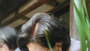 창포 美人… 미소에 반하겠네