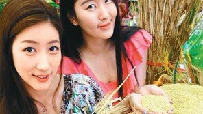 “해찰보리 나왔어요”