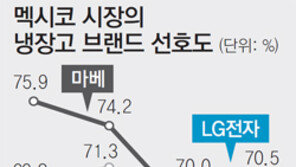 LG전자, 멕시코 숲 가꾸기 나선 까닭은?