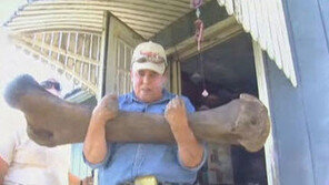 엄청난 크기의 매머드 뼈 발굴… “상상초월!”