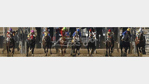 신고포상금 1억…“경마비리 꼼짝馬!”