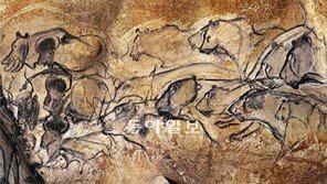 [O2/인류 진화, 뜨거운 주제들]구석기 시대, 노령인구 늘어나 예술 꽃피웠다